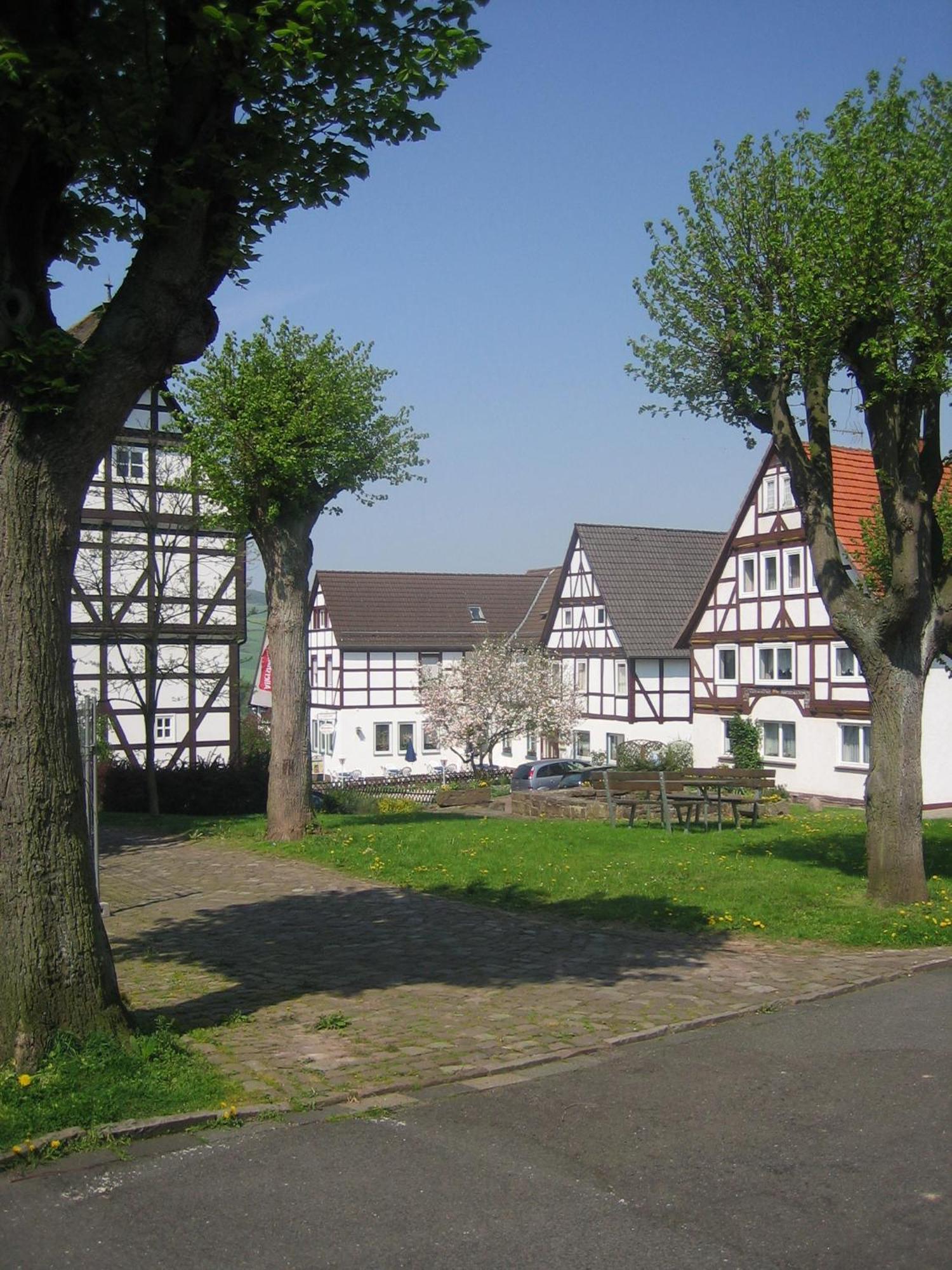 Hotel & Restaurant - Gasthaus Brandner Trendelburg المظهر الخارجي الصورة