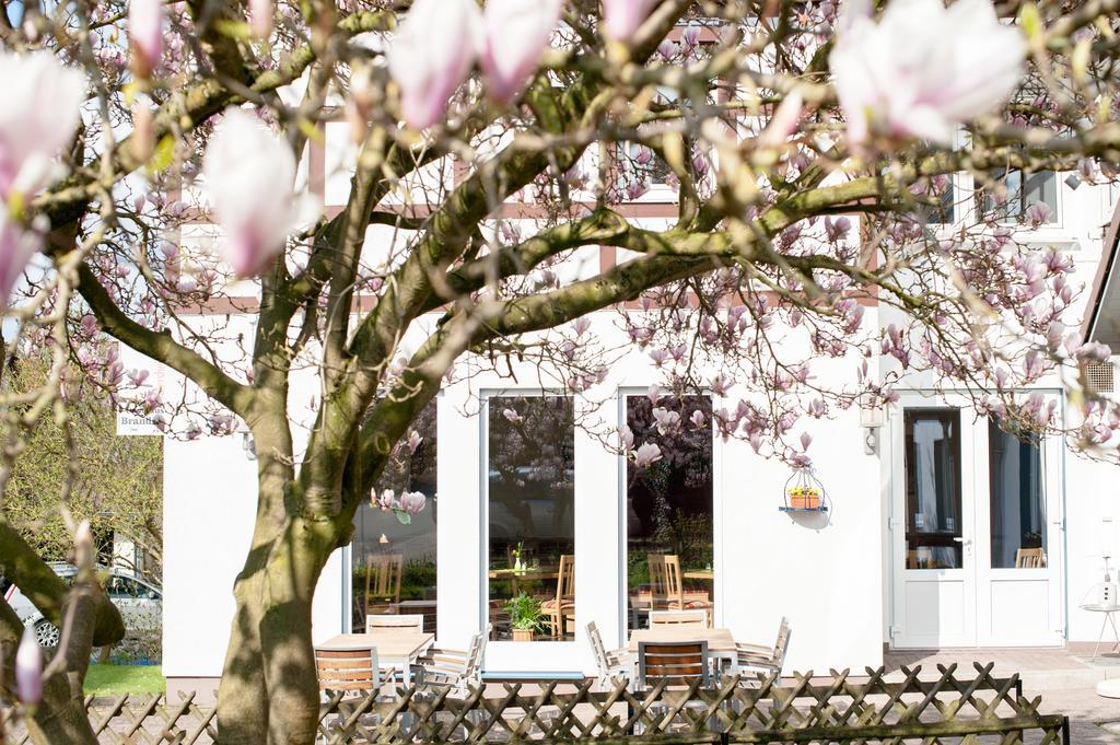 Hotel & Restaurant - Gasthaus Brandner Trendelburg المظهر الخارجي الصورة
